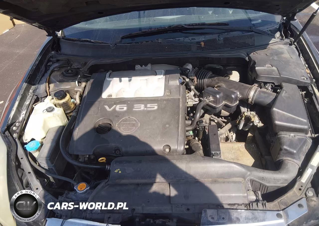 2006 Nissan Maxima 3.5 Se VIN:1N4BA41E16C857674 - 10