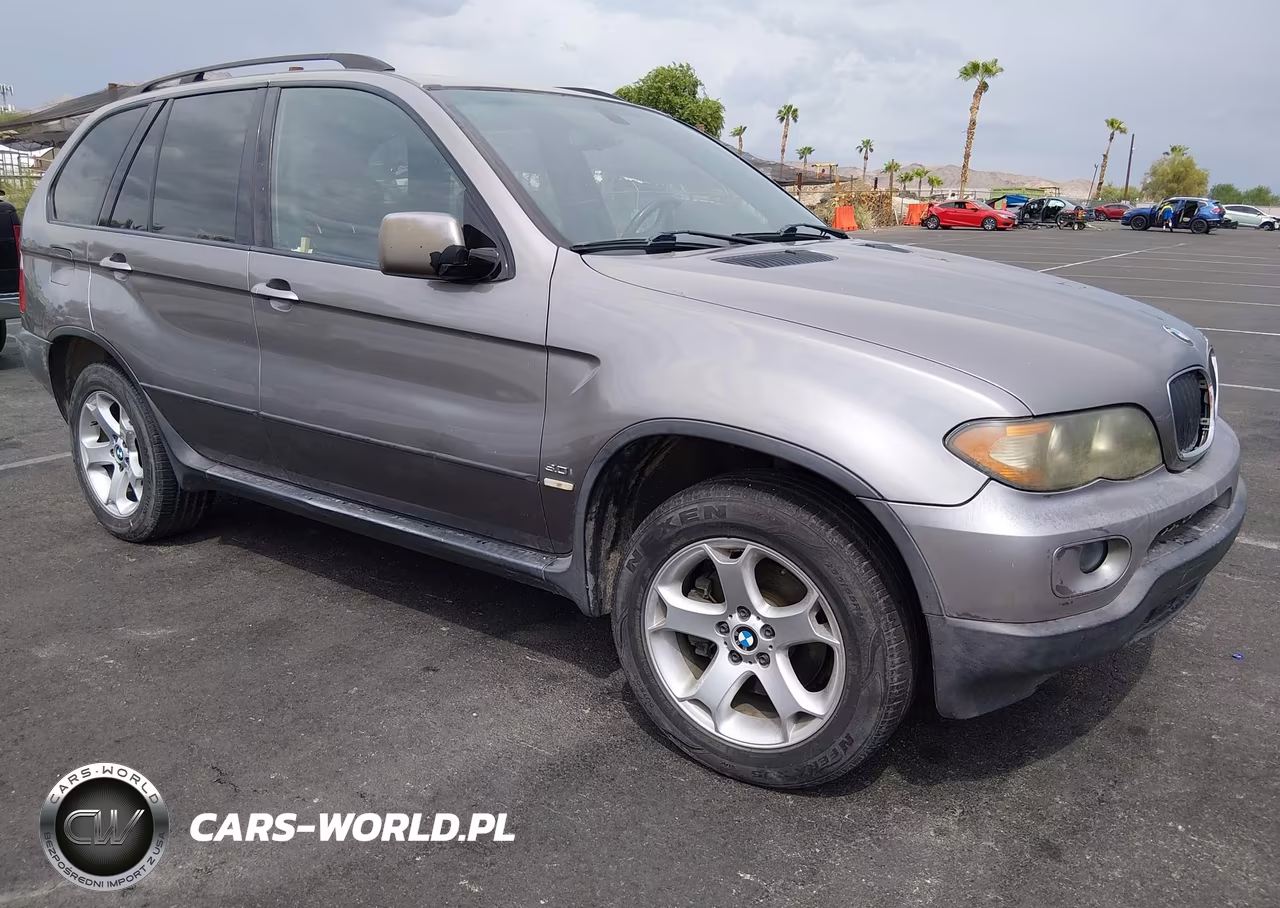 2006 BMW X5 3.0I