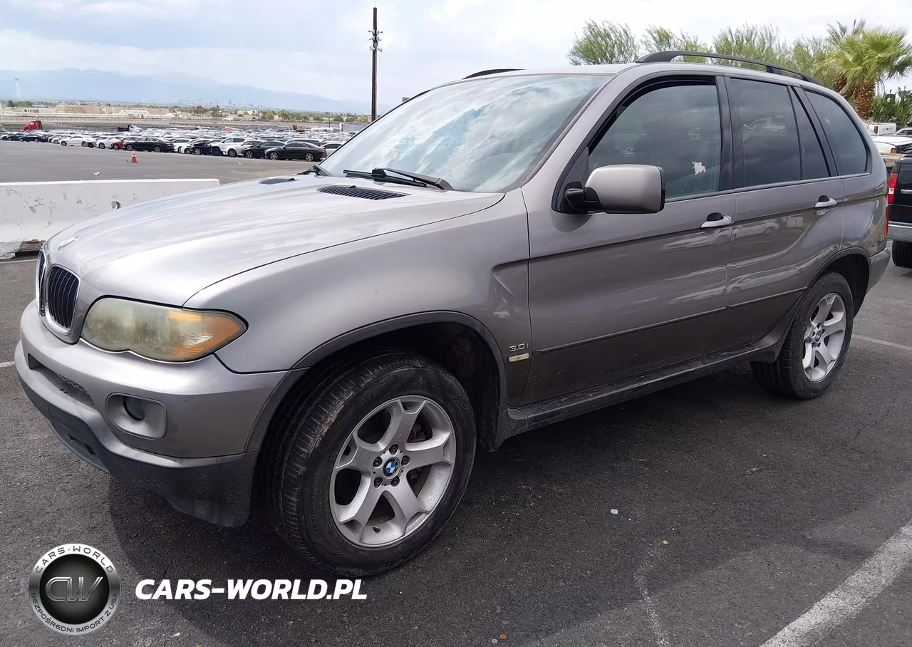 2006 BMW X5 3.0I VIN:5UXFA13516LY34661 - 2