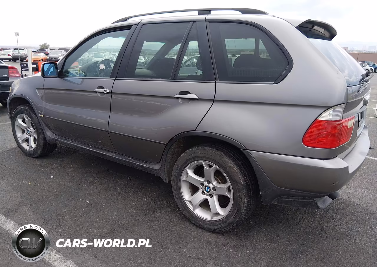 2006 BMW X5 3.0I VIN:5UXFA13516LY34661 - 3