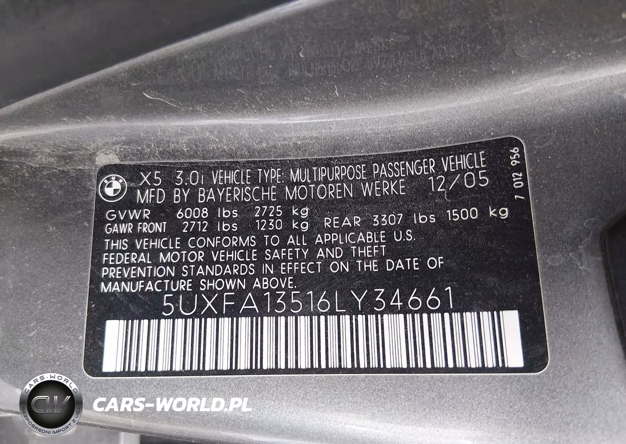 2006 BMW X5 3.0I VIN:5UXFA13516LY34661 - 9
