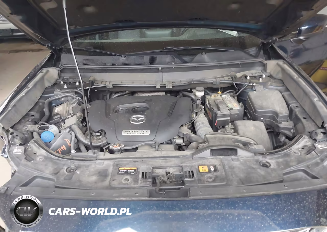 2019 Mazda Cx-9 Grand Touring VIN:JM3TCBDY3K0320522 - 10