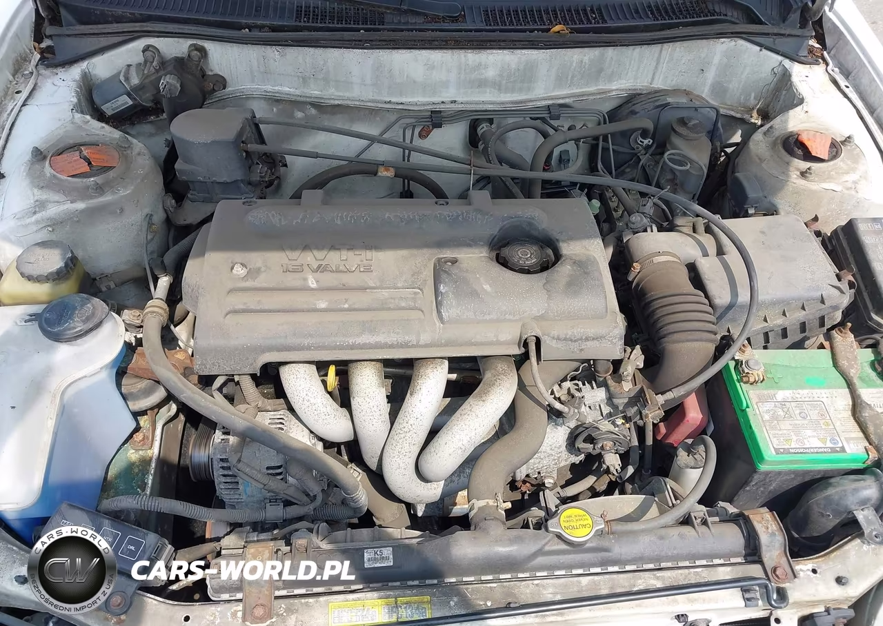 2000 Toyota Corolla Le VIN:1NXBR12E7YZ392441 - 10