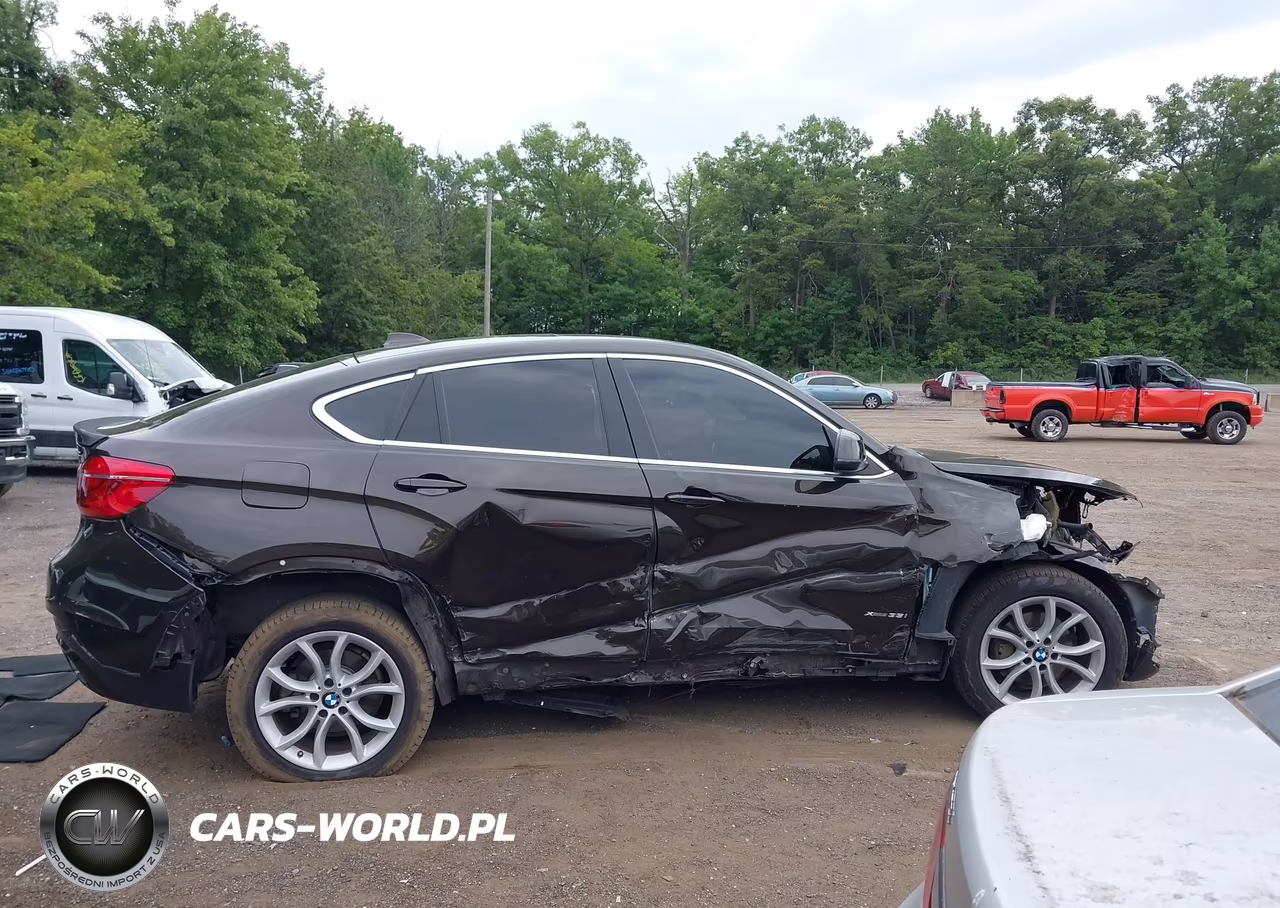 2016 BMW X6 xDrive35I VIN:5UXKU2C51G0N81632 - 12