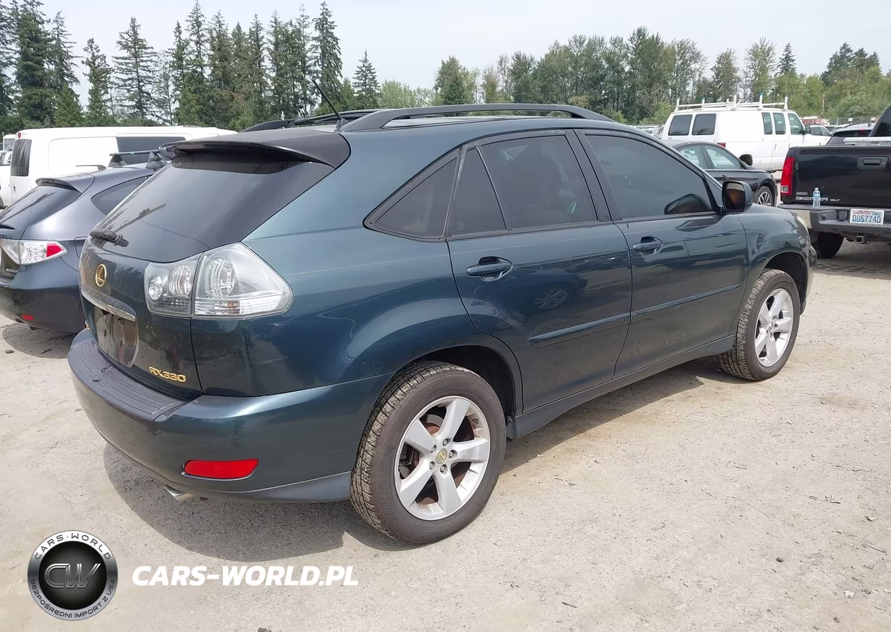 2004 Lexus Rx 330 VIN:JTJHA31U740007758 - 4