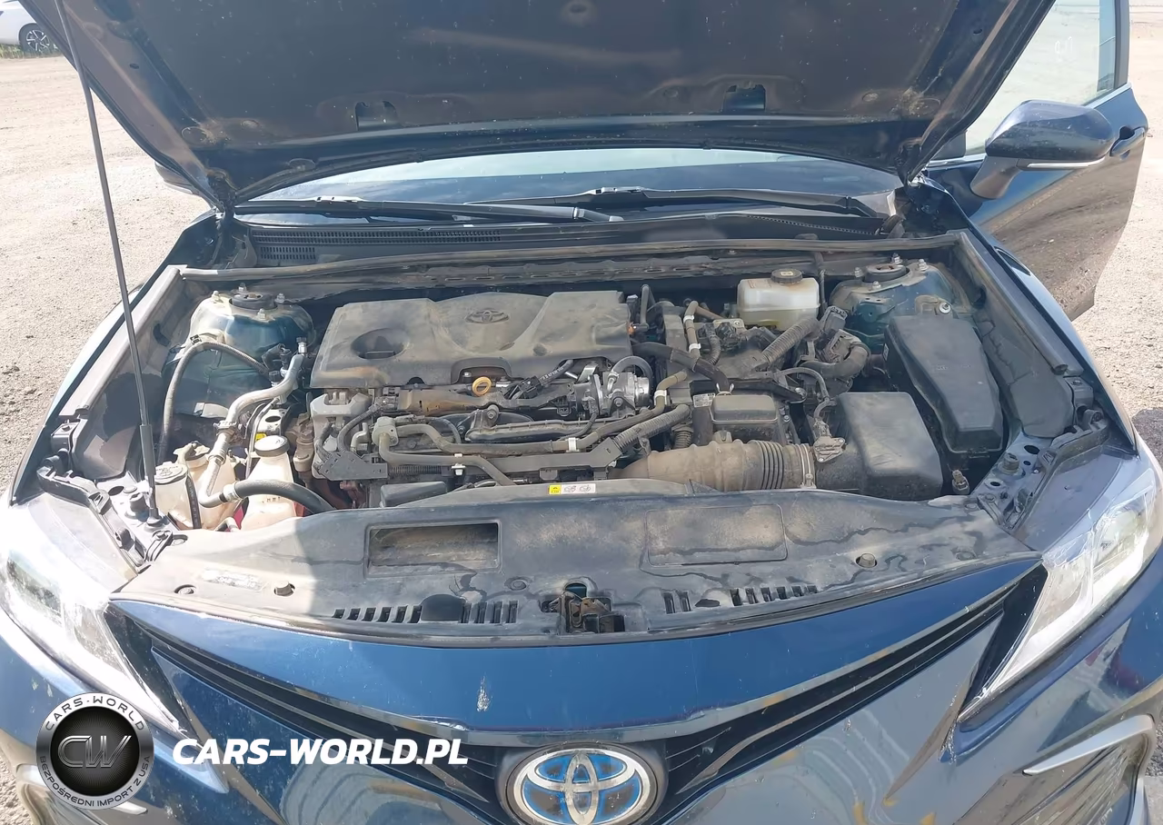 2021 Toyota Camry Le Hybrid VIN:4T1C31AK1MU565037 - 10
