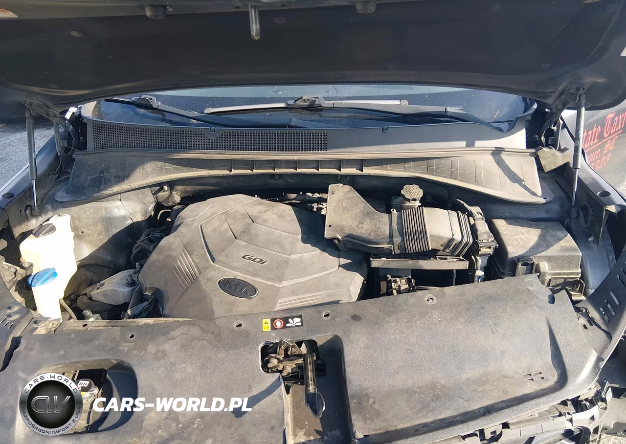 2020 Kia Sorento 3.3L Lx VIN:5XYPG4A59LG629573 - 10