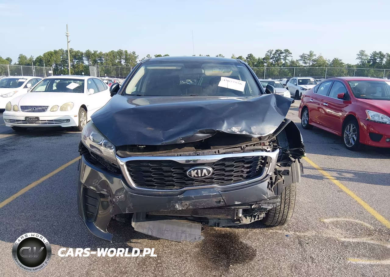2020 Kia Sorento 3.3L Lx VIN:5XYPG4A59LG629573 - 13