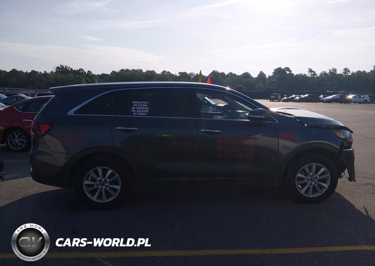2020 Kia Sorento 3.3L Lx VIN:5XYPG4A59LG629573 - 14