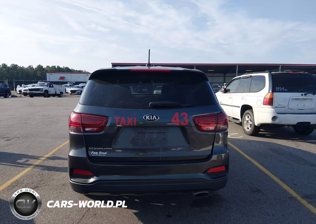 2020 Kia Sorento 3.3L Lx VIN:5XYPG4A59LG629573 - 17