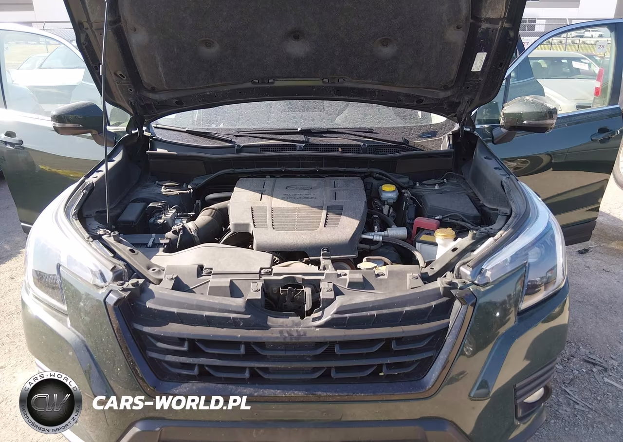 2022 Subaru Forester Limited VIN:JF2SKAPC5NH521816 - 10