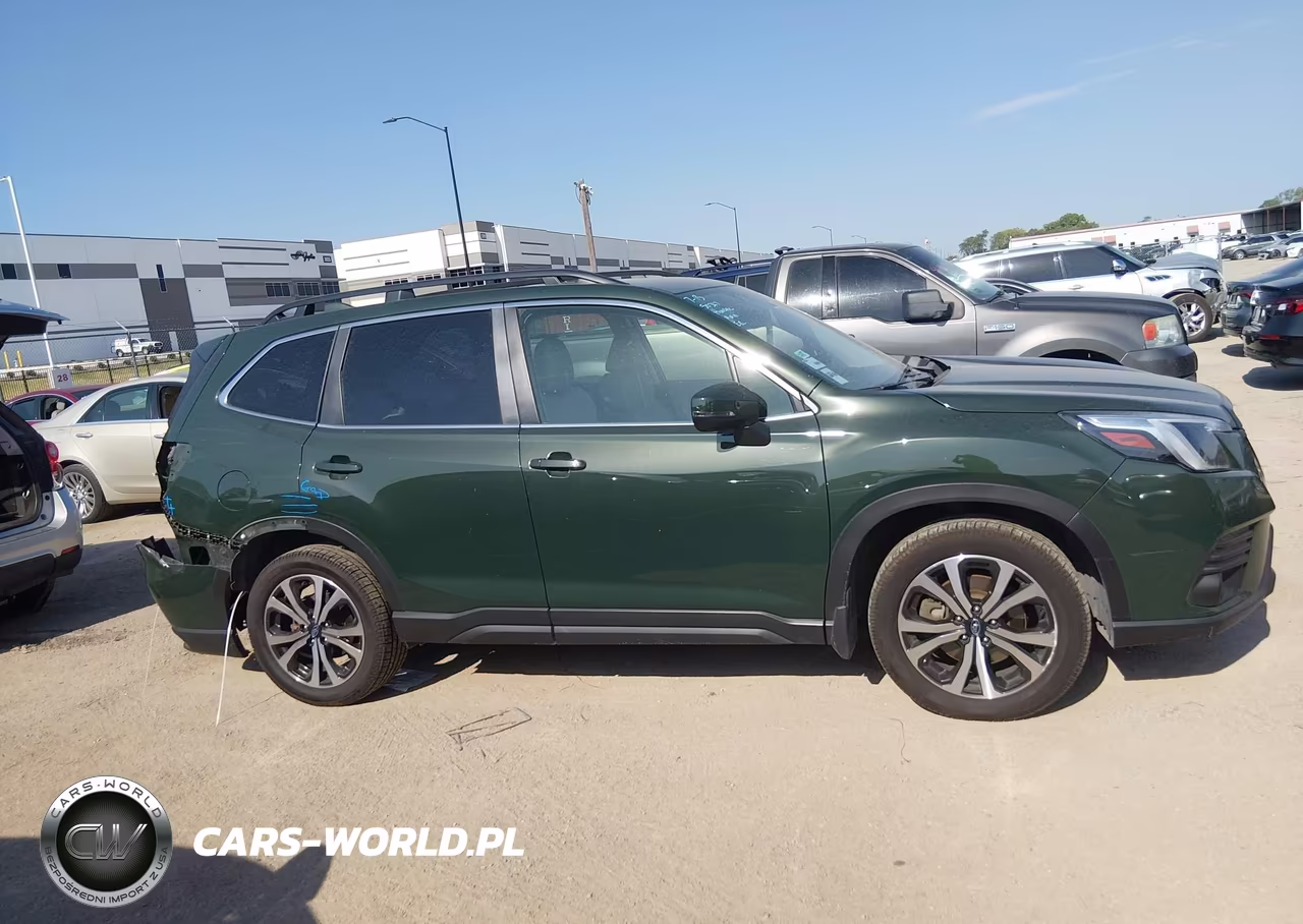 2022 Subaru Forester Limited VIN:JF2SKAPC5NH521816 - 13
