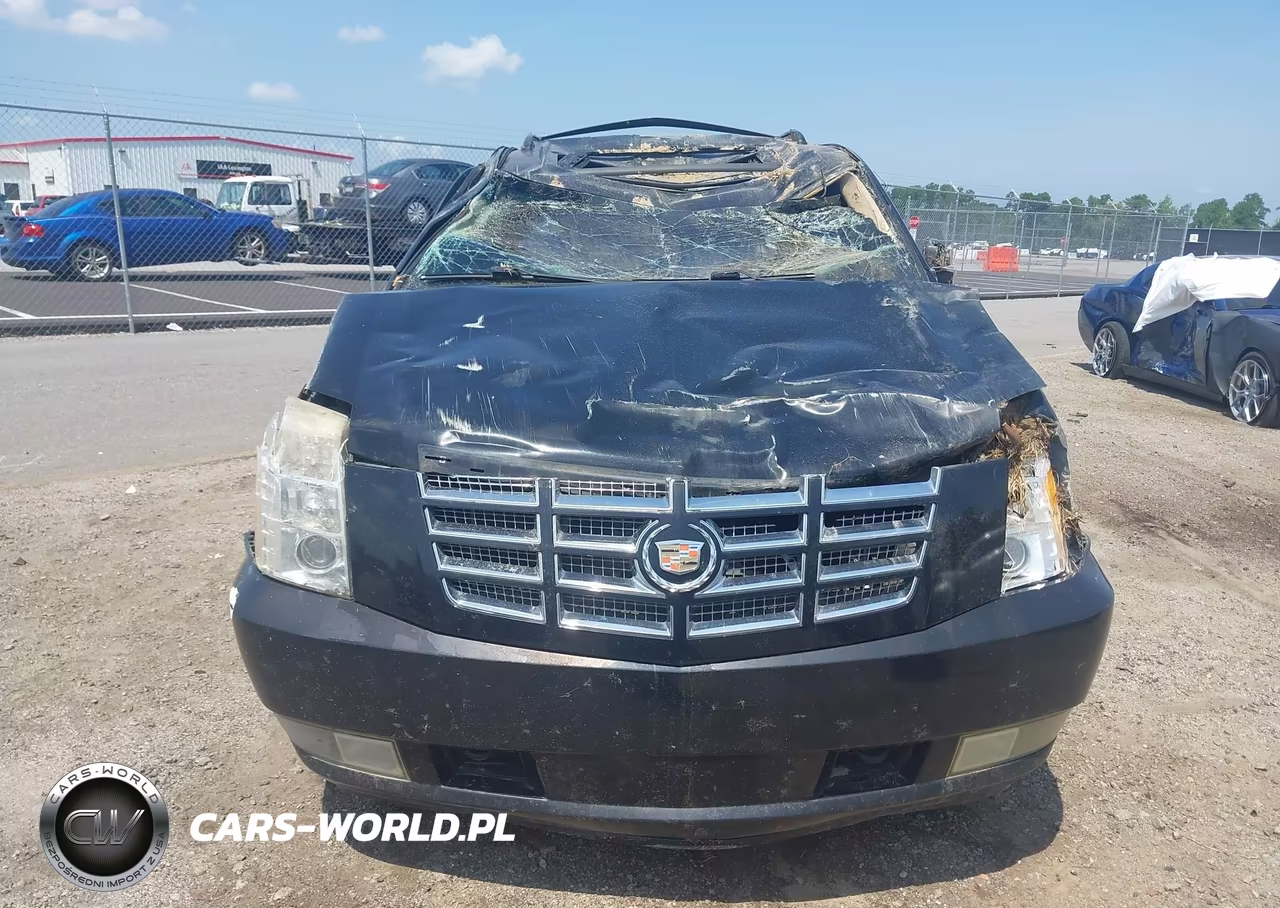 2013 Cadillac Escalade Luxury VIN:1GYS3BEF8DR154217 - 12