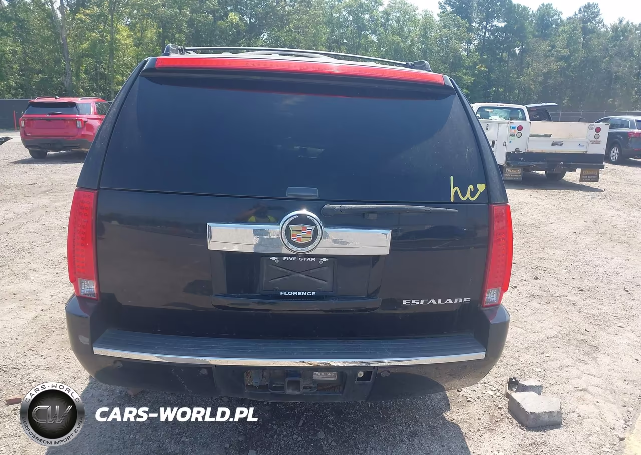 2013 Cadillac Escalade Luxury VIN:1GYS3BEF8DR154217 - 16