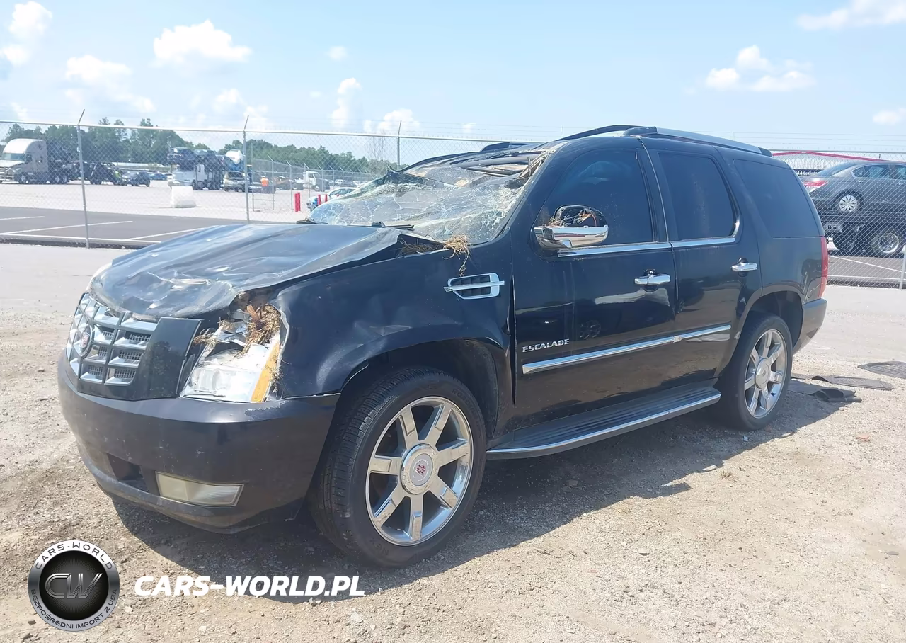 2013 Cadillac Escalade Luxury VIN:1GYS3BEF8DR154217 - 2