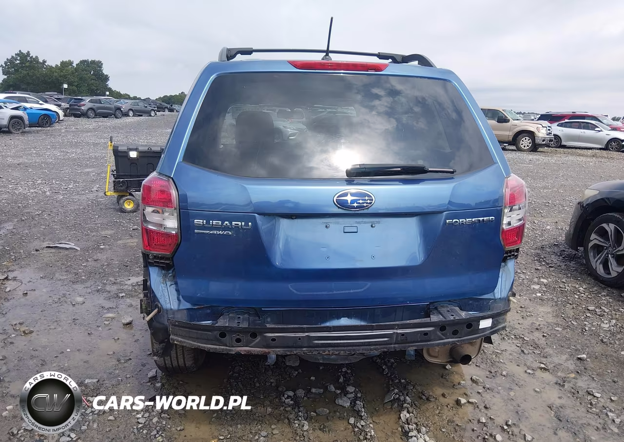 2015 Subaru Forester 2.5I Premium VIN:JF2SJADC6FH506248 - 17