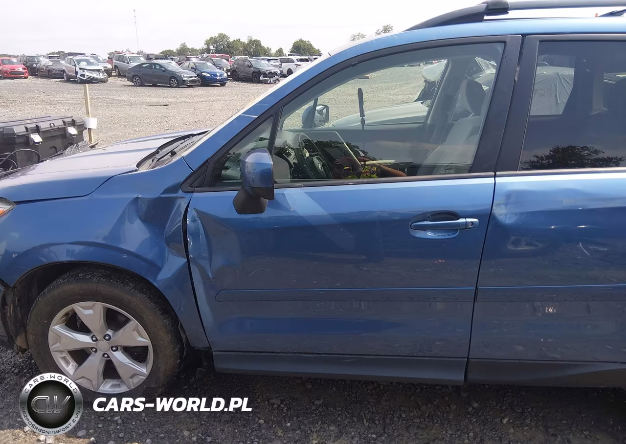2015 Subaru Forester 2.5I Premium VIN:JF2SJADC6FH506248 - 19