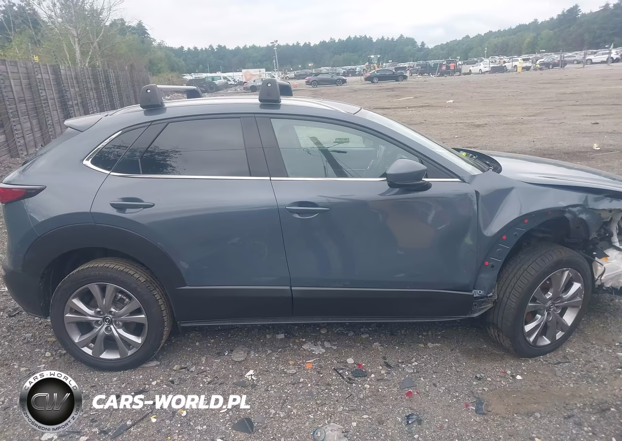 2020 Mazda Cx-30 Premium Package VIN:3MVDMBEM2LM114529 - 13