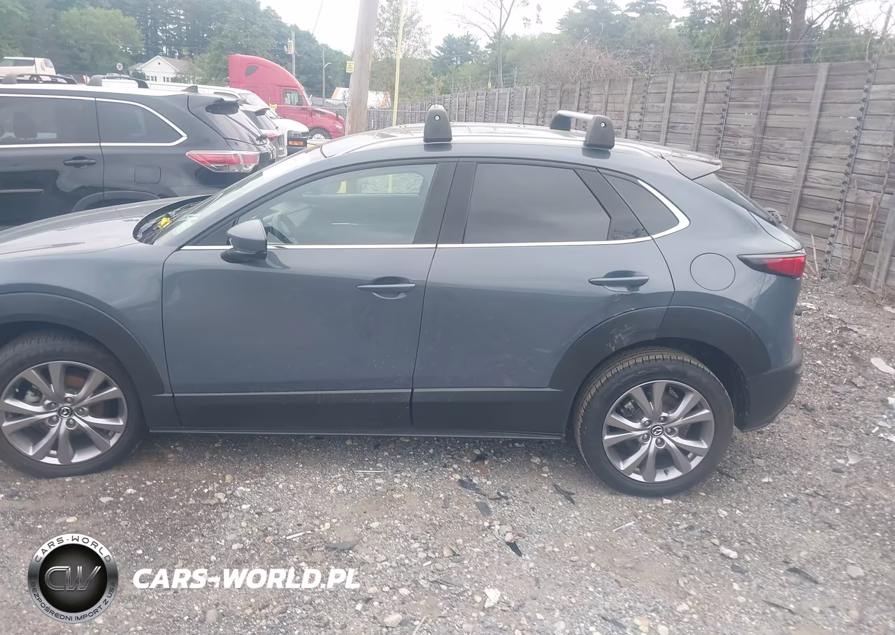 2020 Mazda Cx-30 Premium Package VIN:3MVDMBEM2LM114529 - 14