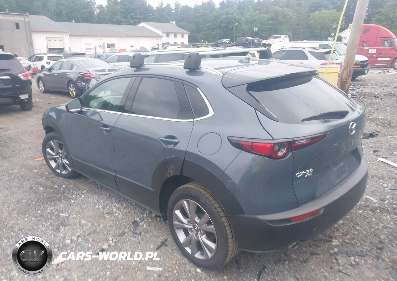 2020 Mazda Cx-30 Premium Package VIN:3MVDMBEM2LM114529 - 3