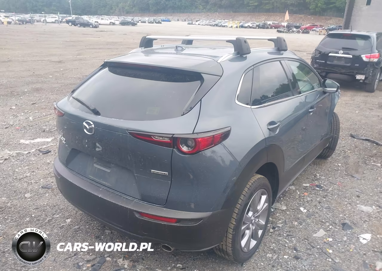 2020 Mazda Cx-30 Premium Package VIN:3MVDMBEM2LM114529 - 4