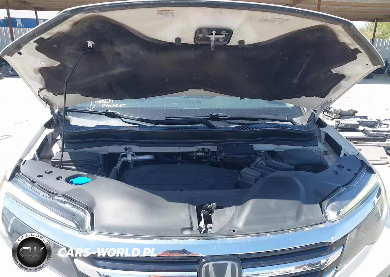 2018 Honda Pilot Elite VIN:5FNYF6H05JB046192 - 10