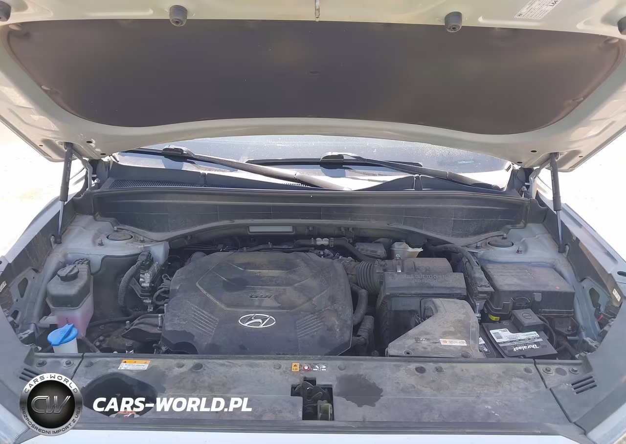 2021 Hyundai Palisade Sel VIN:KM8R24HE3MU325065 - 10