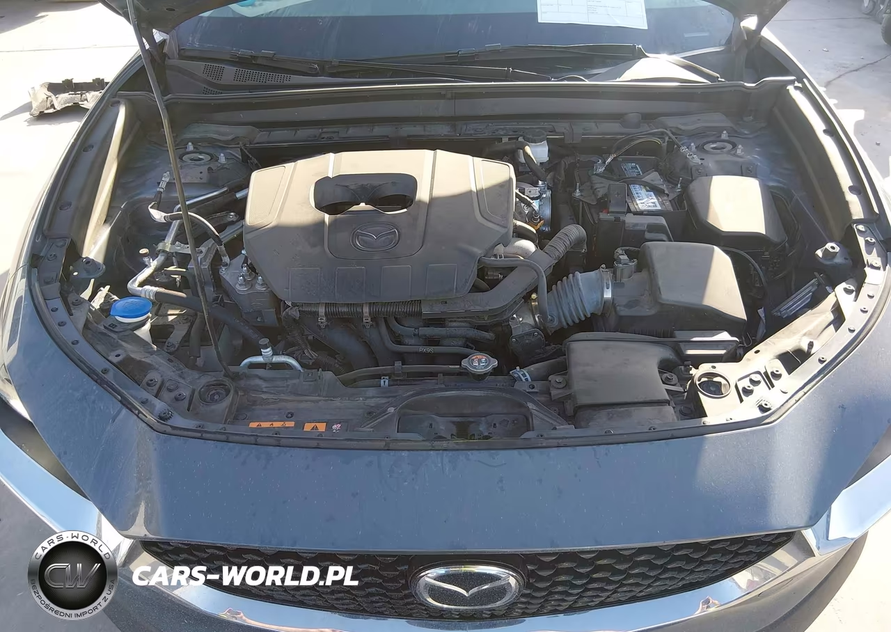 2024 Mazda Cx-30 2.5 S Carbon Edition VIN:3MVDMBCM8RM614562 - 10