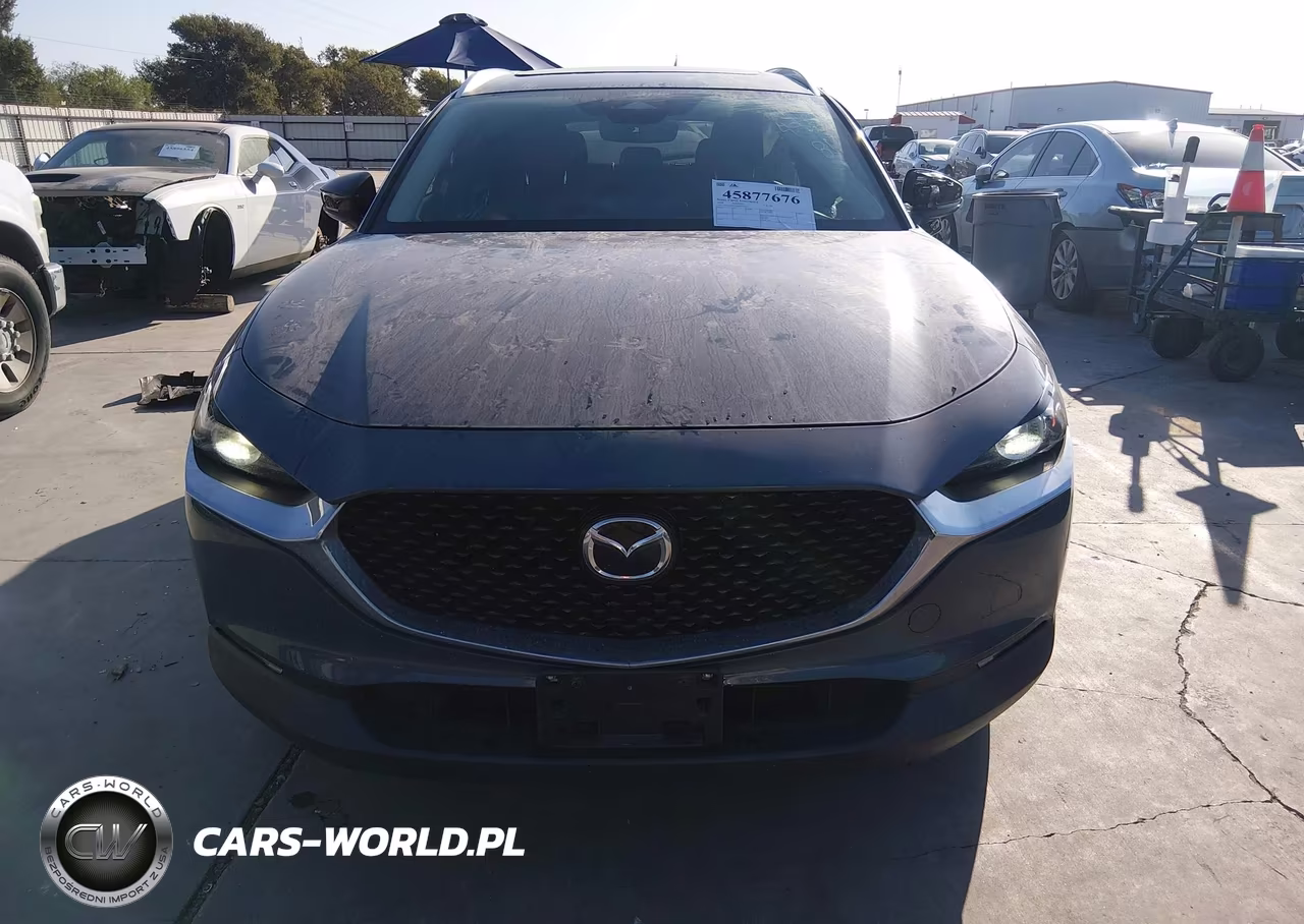 2024 Mazda Cx-30 2.5 S Carbon Edition VIN:3MVDMBCM8RM614562 - 12