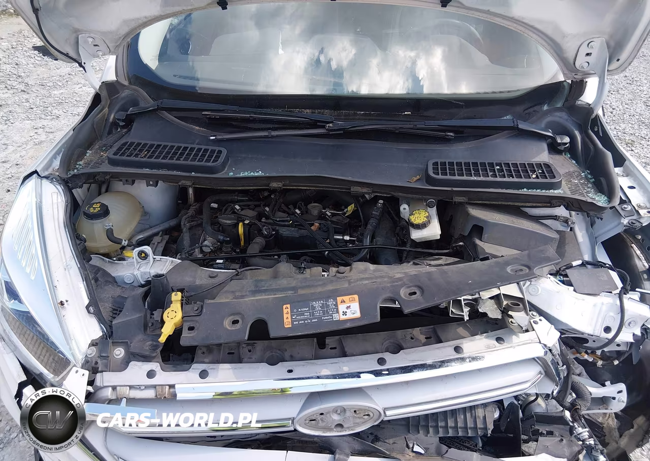 2019 Ford Escape Sel VIN:1FMCU9HD2KUB45142 - 10