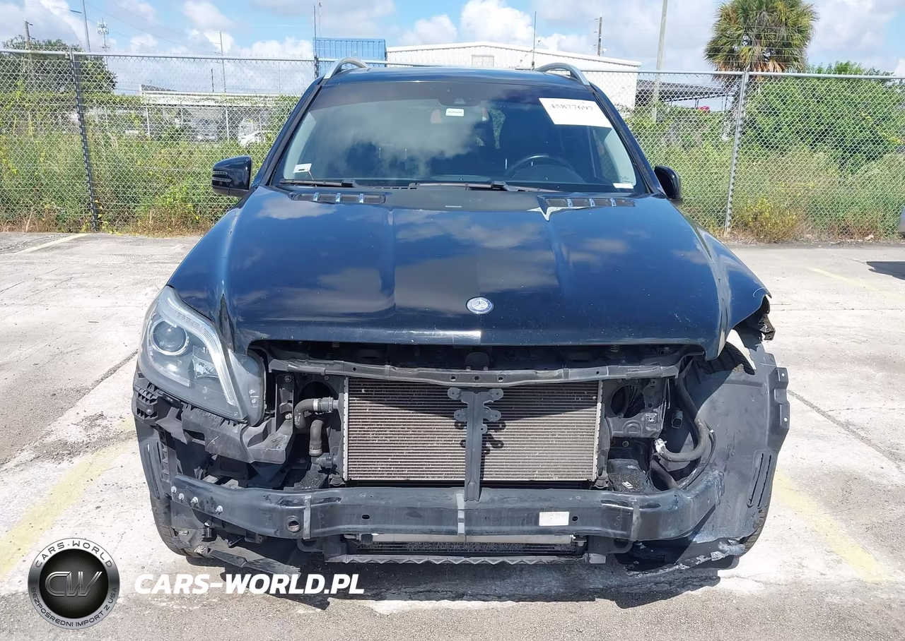 2014 Mercedes-Benz Gl 450 4Matic VIN:4JGDF7CE4EA366251 - 13