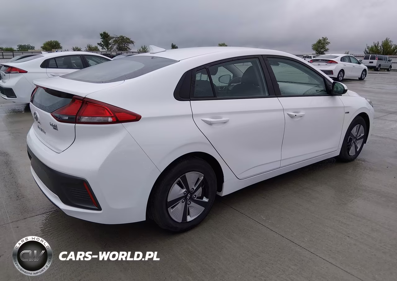 2020 Hyundai Ioniq Hybrid Blue VIN:KMHC65LC0LU233187 - 4