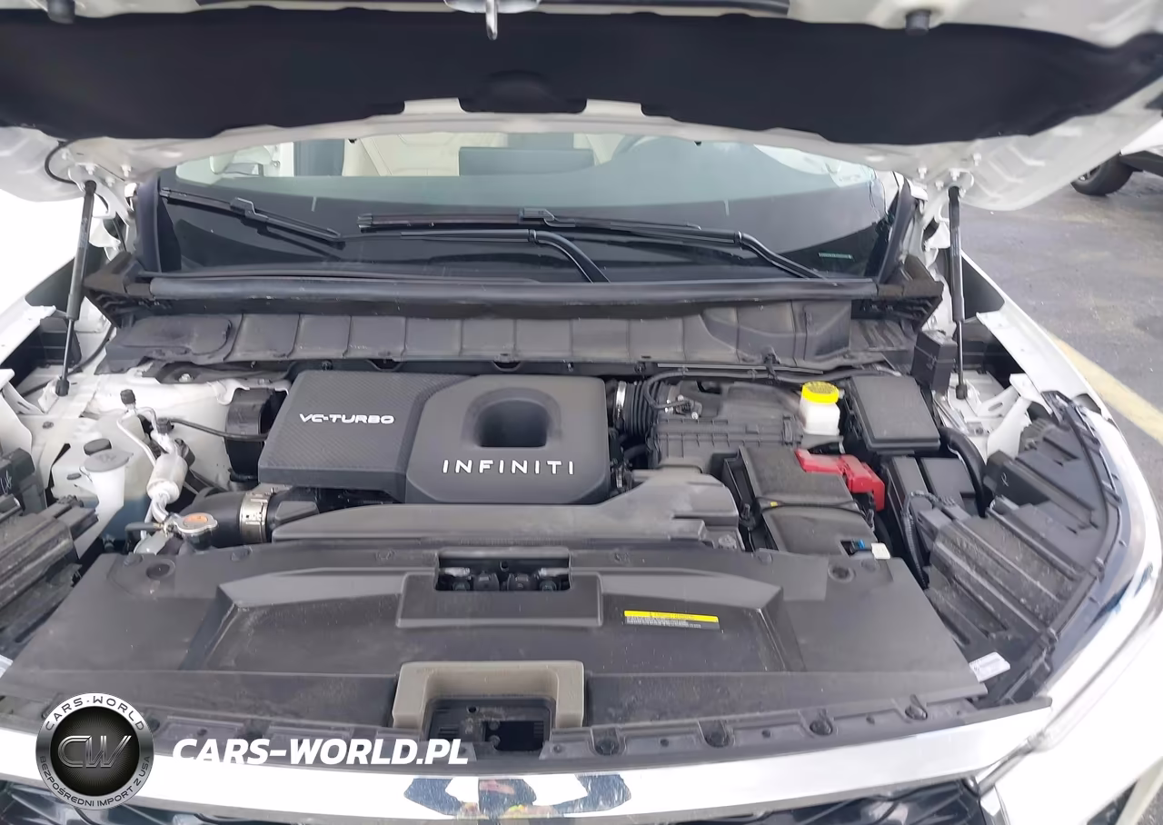 2025 Infiniti Qx60 Luxe VIN:5N1AL1FR4SC350994 - 10
