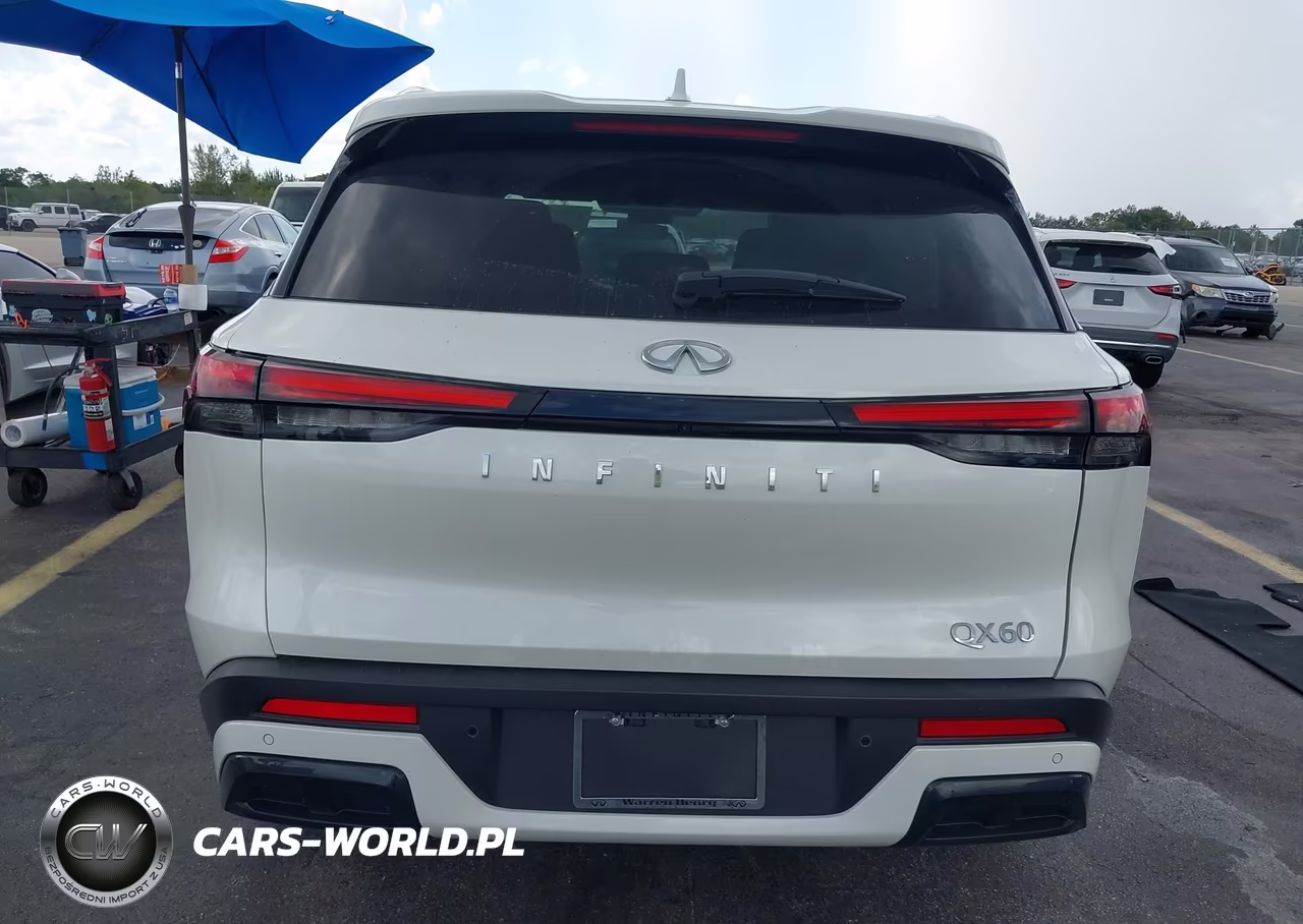 2025 Infiniti Qx60 Luxe VIN:5N1AL1FR4SC350994 - 17