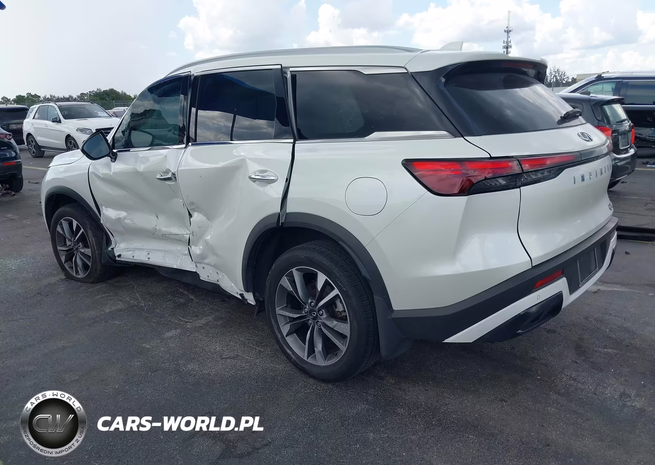 2025 Infiniti Qx60 Luxe VIN:5N1AL1FR4SC350994 - 3