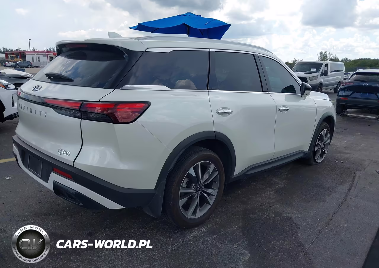 2025 Infiniti Qx60 Luxe VIN:5N1AL1FR4SC350994 - 4