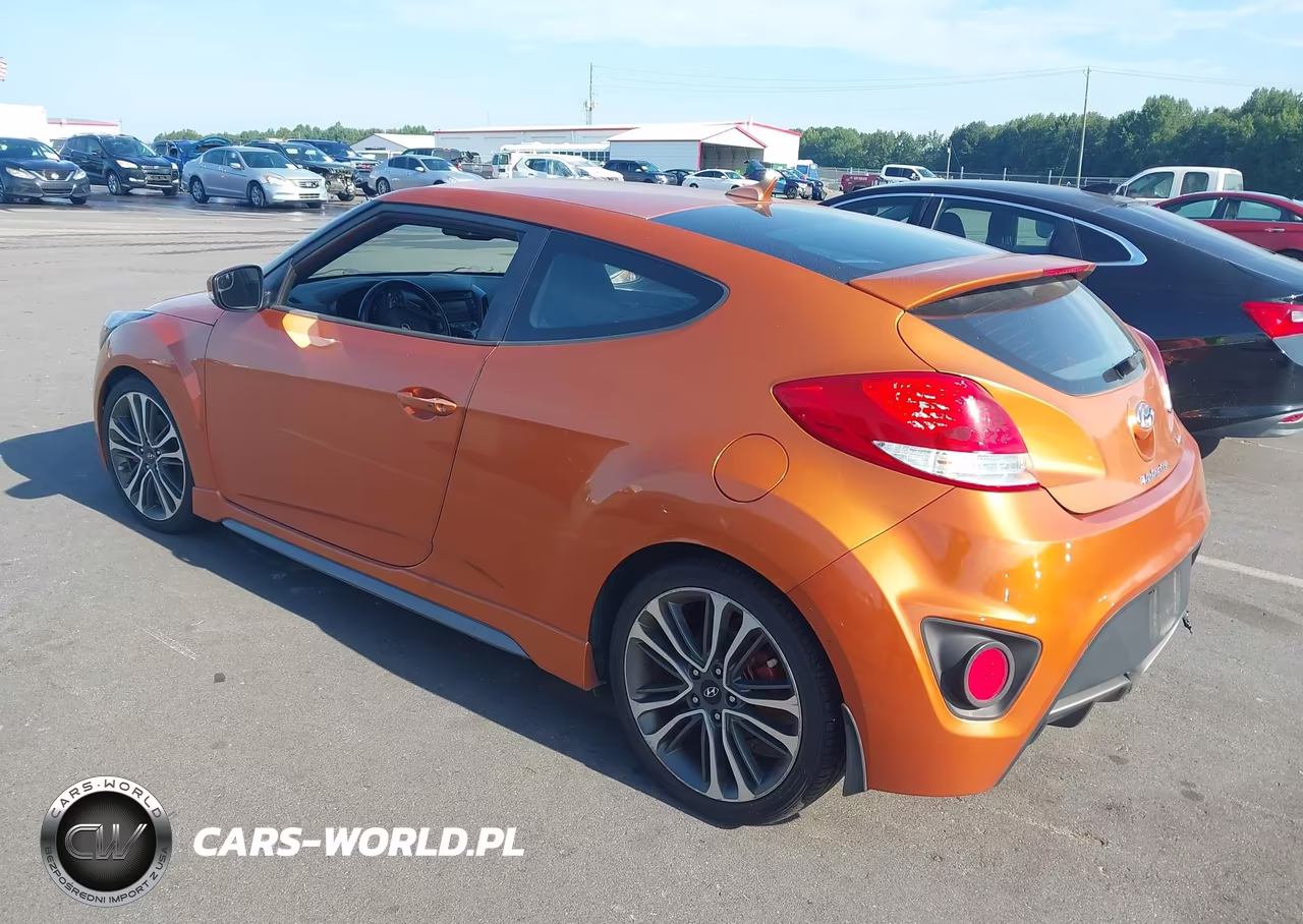 2016 Hyundai Veloster Turbo VIN:KMHTC6AE3GU264863 - 3