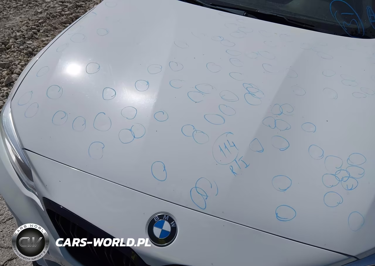 2019 BMW M2 Competition VIN:WBS2U7C54K7D01860 - 11