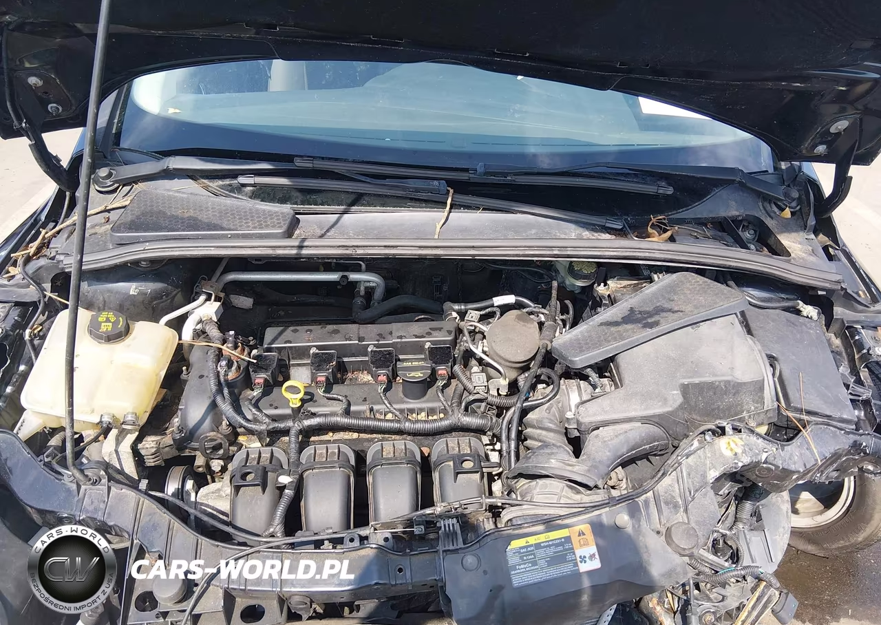 2014 Ford Focus Se VIN:1FADP3F29EL298440 - 10