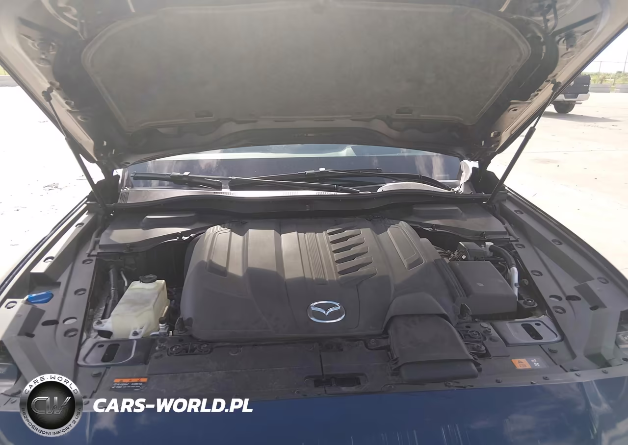 2024 Mazda Cx-90 3.3 Turbo Premium Plus VIN:JM3KKEHD4R1142633 - 10
