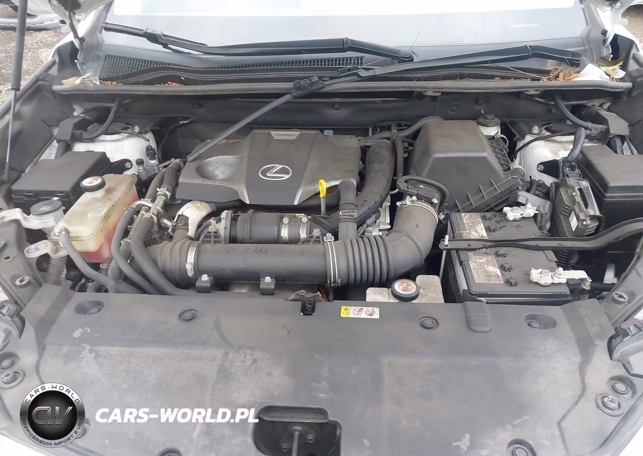 2021 Lexus Nx 300 VIN:JTJDARDZ5M2257500 - 10