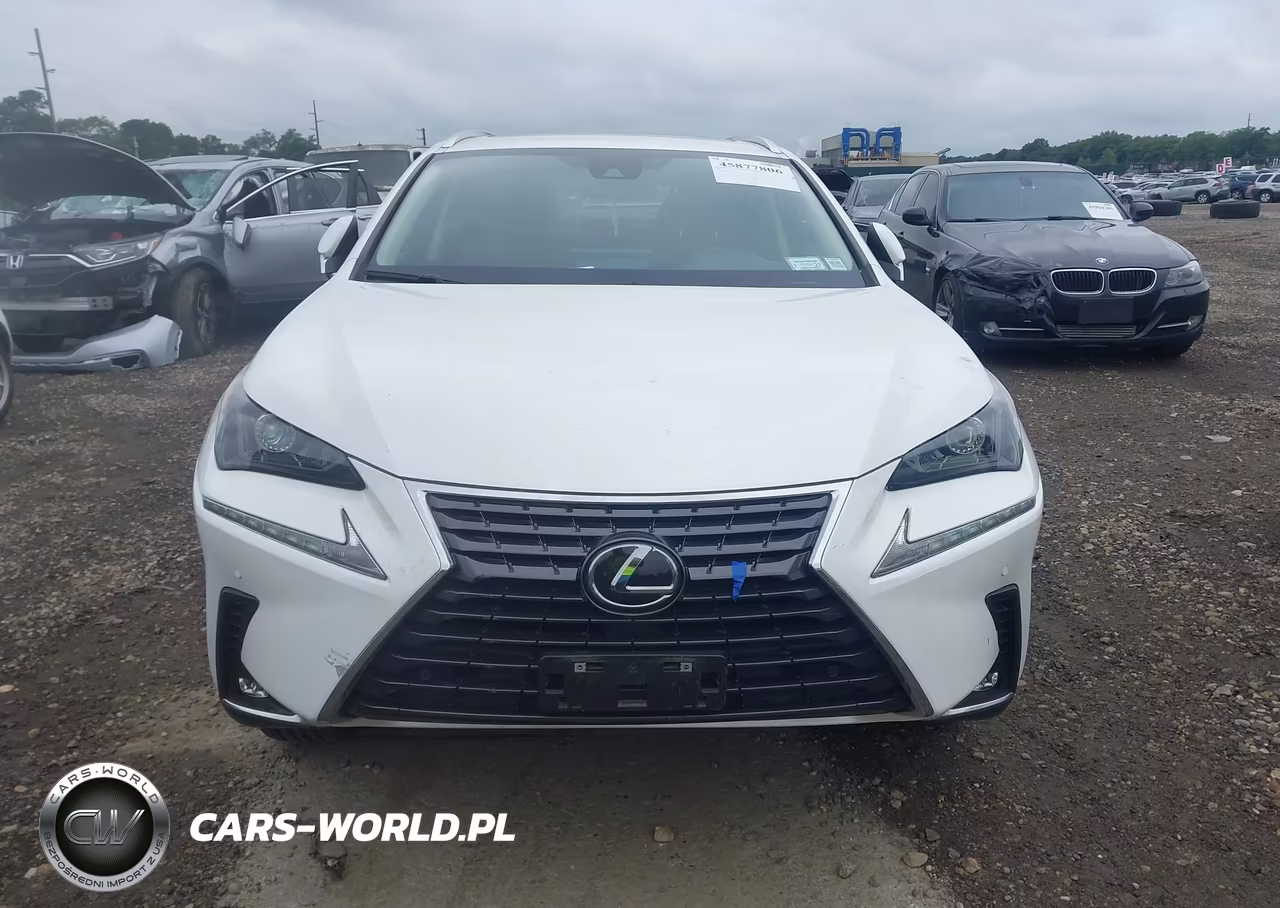2021 Lexus Nx 300 VIN:JTJDARDZ5M2257500 - 12