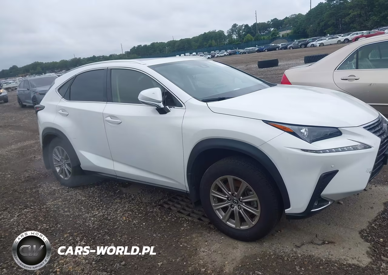 2021 Lexus Nx 300 VIN:JTJDARDZ5M2257500 - 13