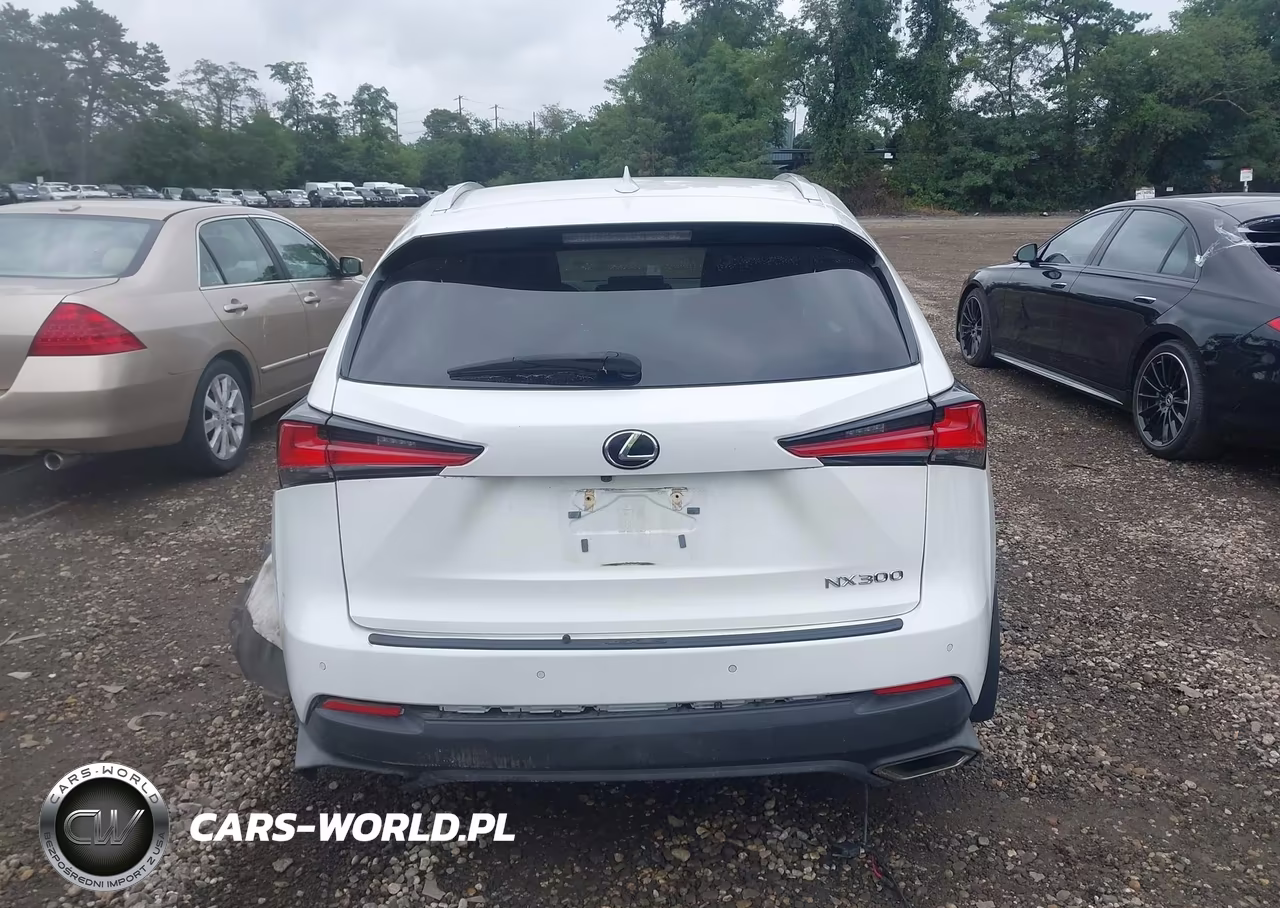 2021 Lexus Nx 300 VIN:JTJDARDZ5M2257500 - 16
