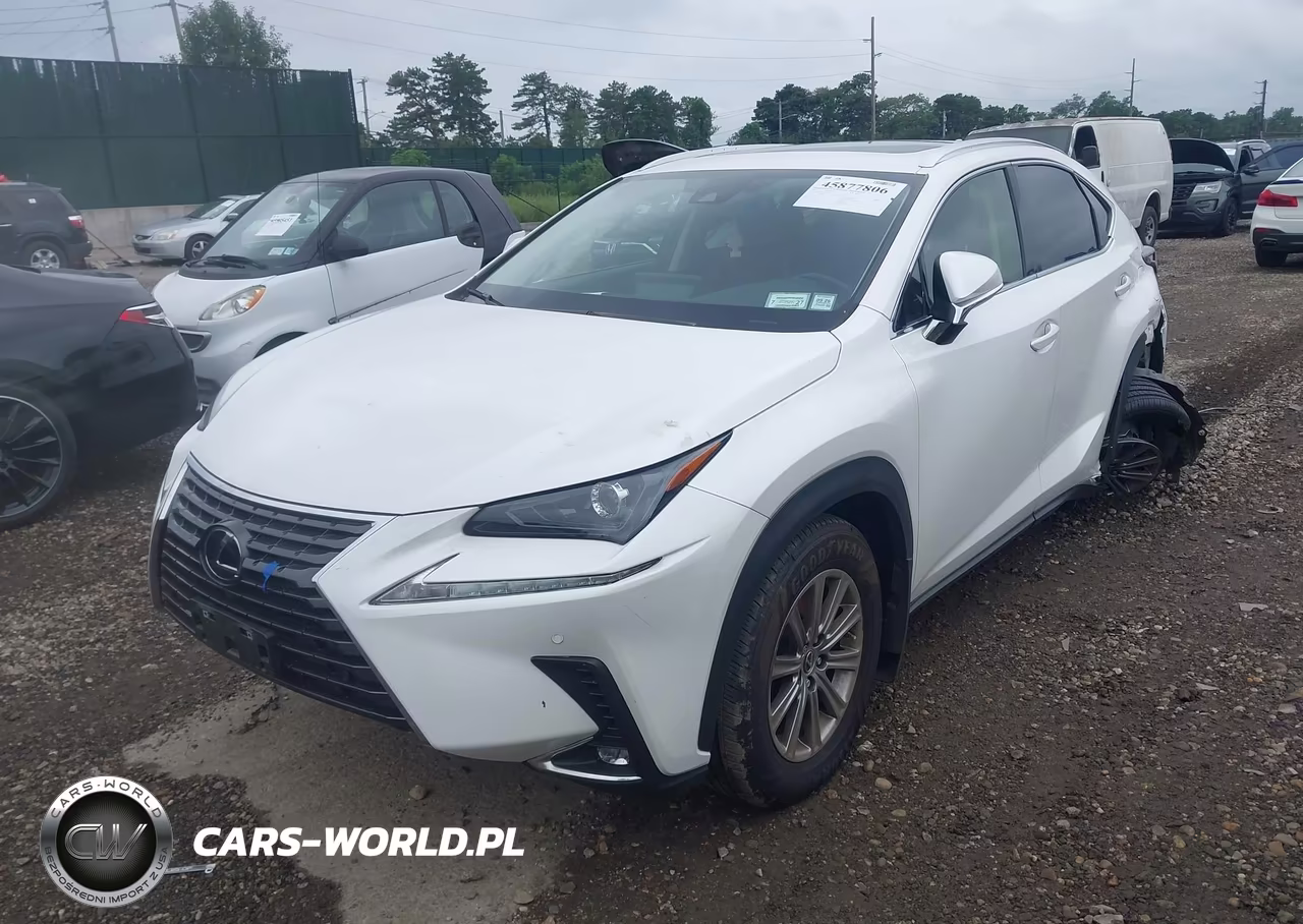 2021 Lexus Nx 300 VIN:JTJDARDZ5M2257500 - 2