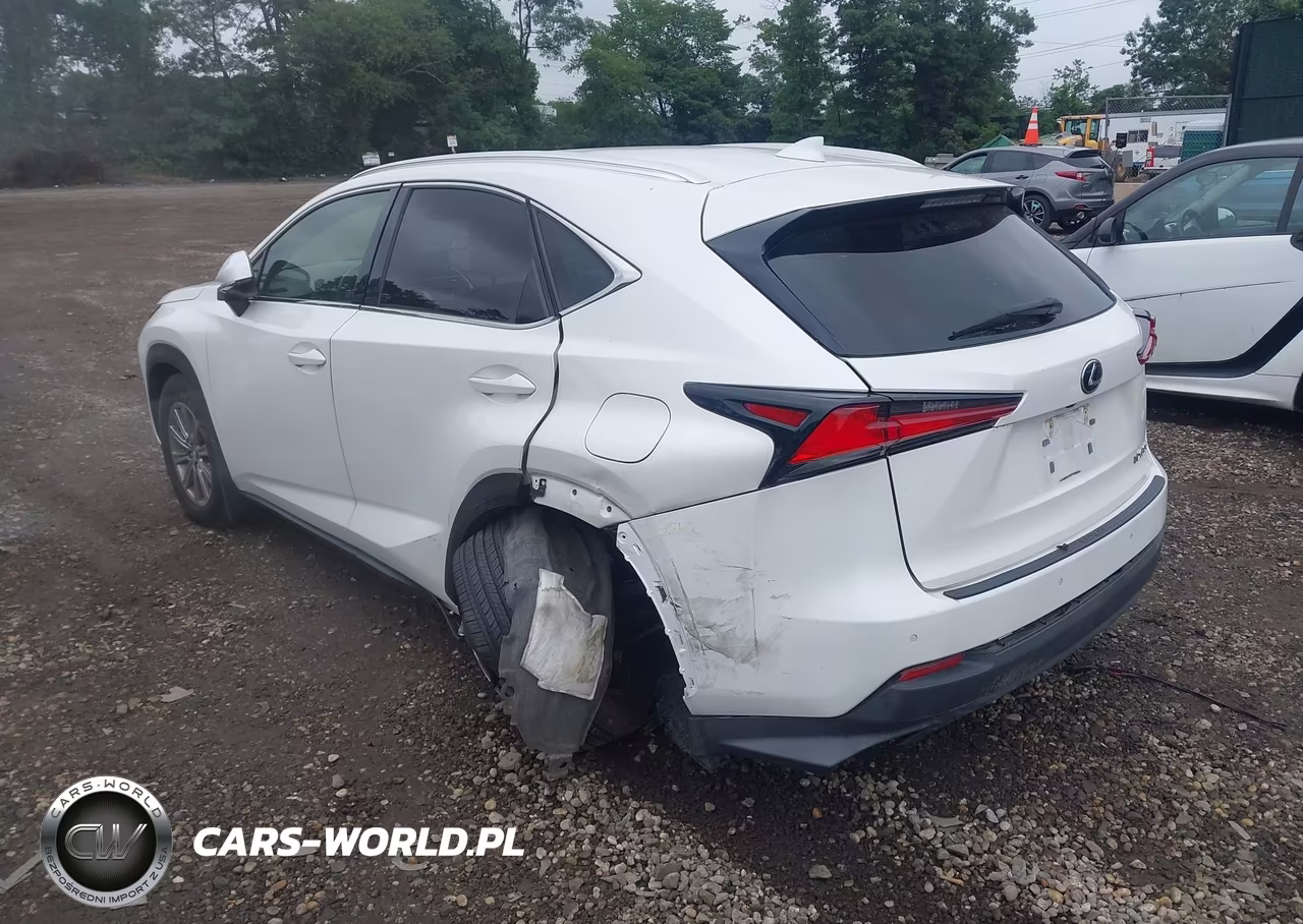 2021 Lexus Nx 300 VIN:JTJDARDZ5M2257500 - 3