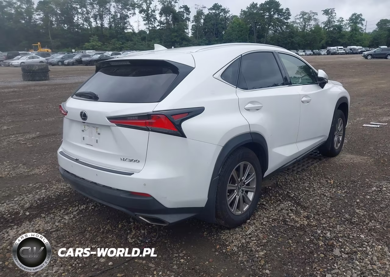 2021 Lexus Nx 300 VIN:JTJDARDZ5M2257500 - 4
