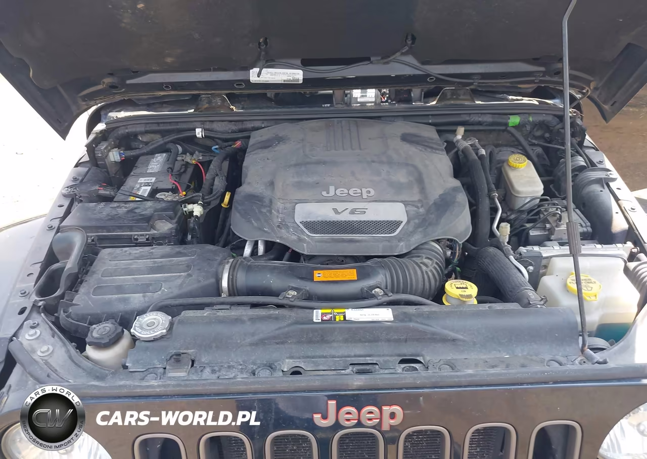 2016 Jeep Wrangler 75Th Anniversary VIN:1C4GJWBG5GL278829 - 10