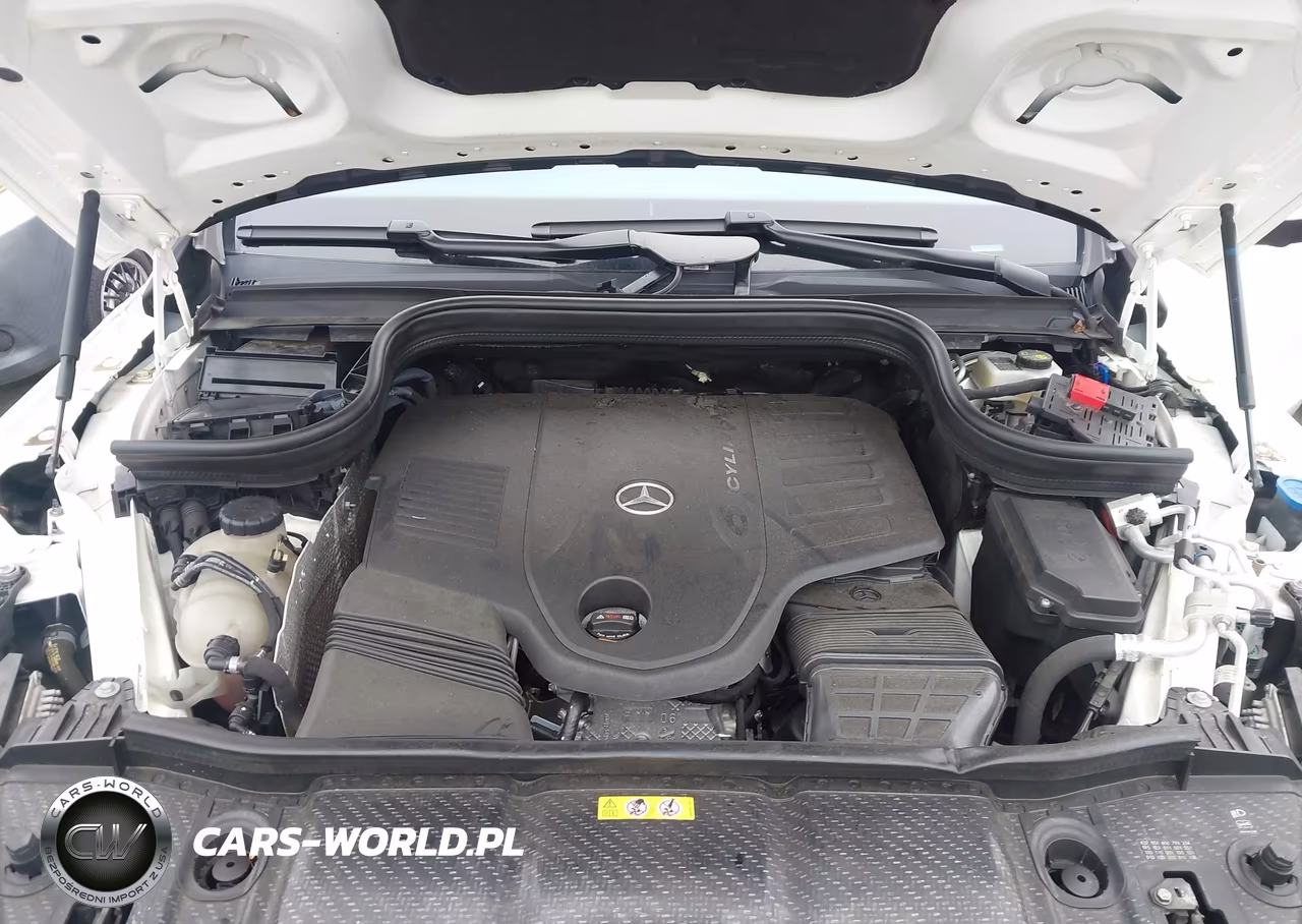 2023 Mercedes-Benz Gls 450 4Matic VIN:4JGFF5KE9PA964921 - 10