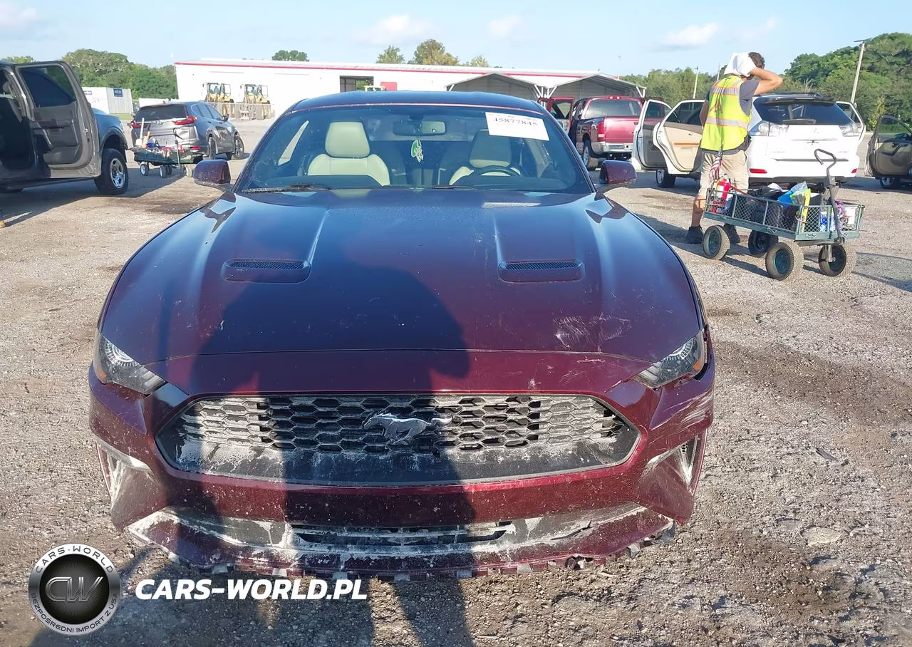 2018 Ford Mustang Ecoboost VIN:1FA6P8TH6J5185526 - 12
